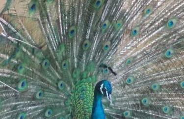 Κτήμα Κουρλή - Photo 23