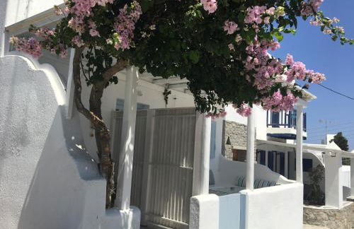 Mina Studios - Foto 4