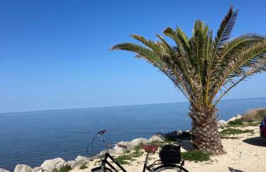 VILLA DEL RE 3 face à la piscine - Foto 14