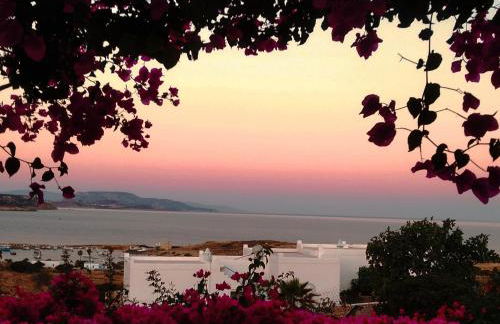 Λιογερμα - Foto 1