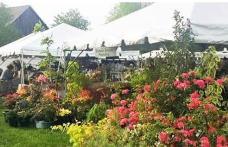 Walk to the Outfield of Lime Rock Park - Foto 33