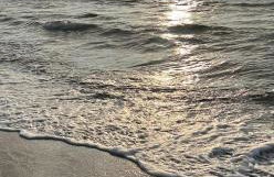 Międzywodzie Plażowa Park Gold - Foto 13