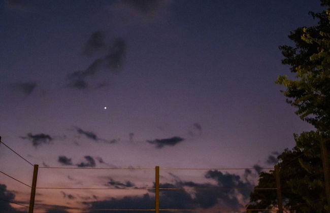 Sunset Palm Lodge - Foto 32