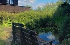 Ferienhaus im idyllischen Nümbrecht Grunewald - Foto 3