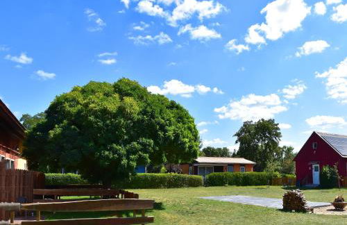Ferienwohnung am Oase am Vilzsee - Foto 32