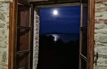 L'oasi delle volpi - Foto 8