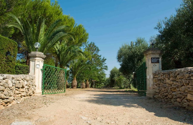 Azienda Agricola Francesca Stajano - Foto 74