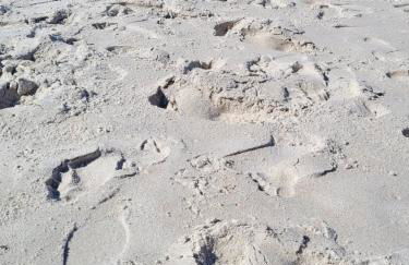 Ferienwohnung in Niebüll, Kreis Nordfriesland - Foto 22