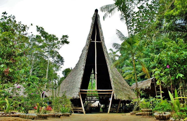 Notte nella Riserva Naturale Tanimboca - Foto 6