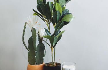 Apartamentos Martalia Namar centro - Photo 44