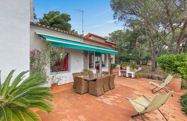 Villa Susy al mare - Photo 31