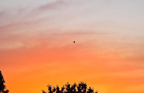 Behaglicher Bungalow für Mensch und Hund - Photo 13