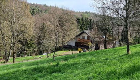 Ferienwohnung Am Kirchberg - Foto 3, Garden