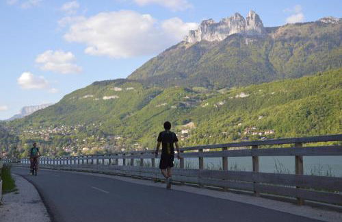 Le Coin des Cygnes, appartement face au lac d'Annecy avec plage privée - Foto 27