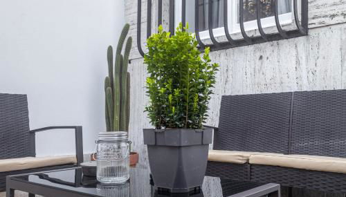 [Flaminio * * * * *] - Loft con Giardino - Foto 5