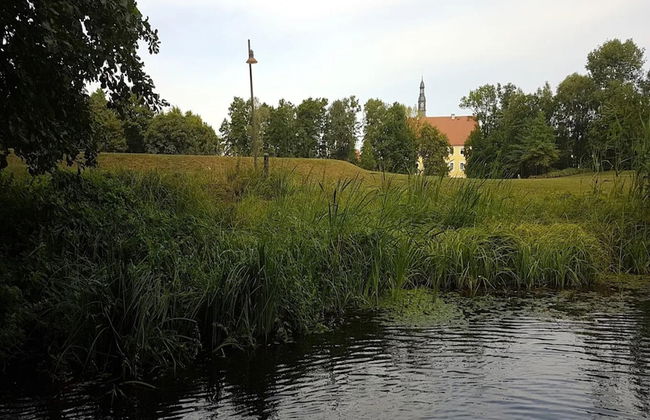 Bungalow in Lubben With a Terrace - Foto 71