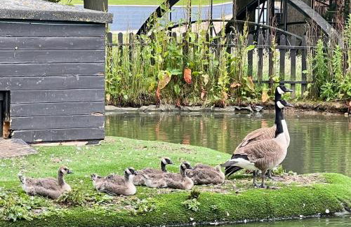 The Priory Cottage - Foto 17