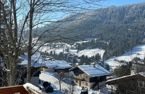 Les bouquetins - Foto 55