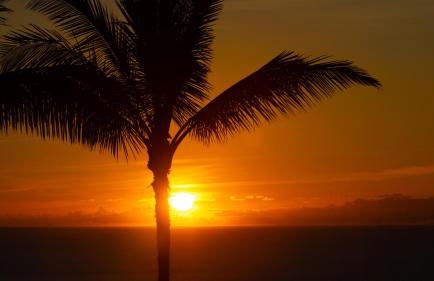 ❤PiH❤ Endless Ocean Views Villa Gorgeous Mauna Kea Ocean and Mountain View - Foto 4