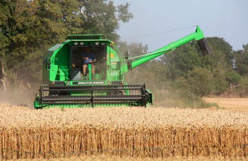 Ferienwohnung "Möwennest" - Foto 9