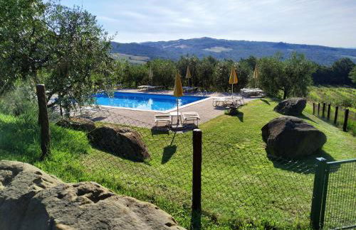 Selvadonica - Foto 19