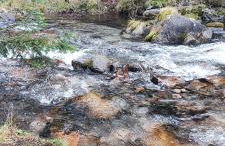 Apartamento Minairons Espot - Photo 20