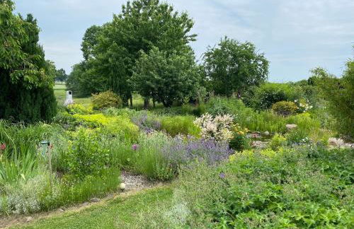 Reethaus Vilmnitz - Ferienwohnung Goor - Foto 49