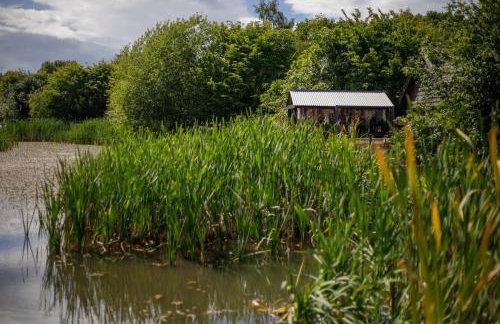 Oakwood Lodges with Hot tubs York - Photo 62