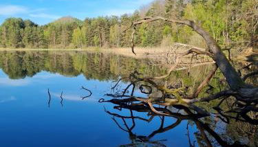 Wasgauer Felsen und Seenland - Foto 2