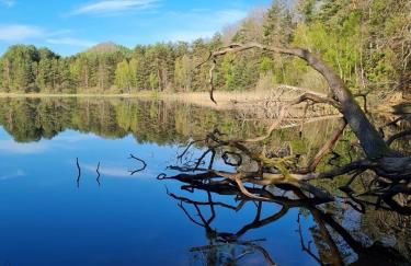 Wasgauer Felsen und Seenland - Foto 2