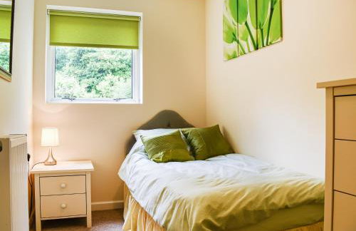 Between The Forest And The Sea - Foto 10