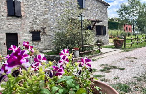 Bio Agriturismo La Cerqua - Foto 39