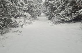 Château de la rivière - Foto 34