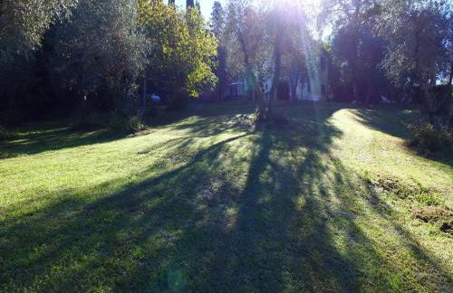 Vino, Views and Relaxing Stay - Foto 5