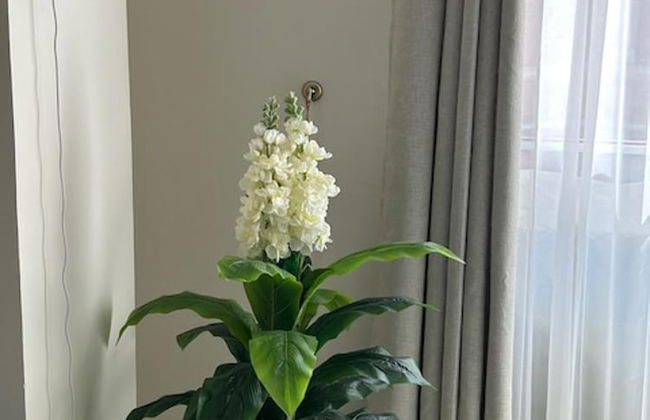 Great Escape - Stylish Apartment El Gouna Road - Foto 26