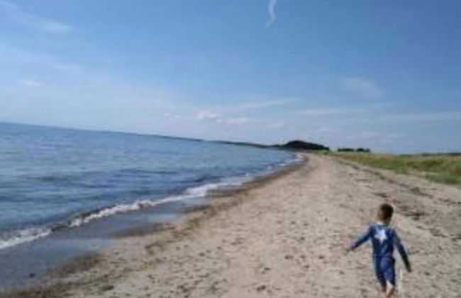 10 Person Holiday Home in Rodby-by Traum - Foto 32