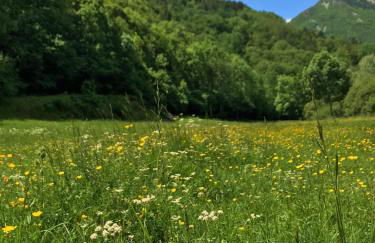 Un rincón especial en VALL DE BOI - Foto 41