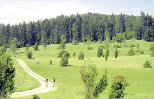 Haus Oettinger - Foto 15