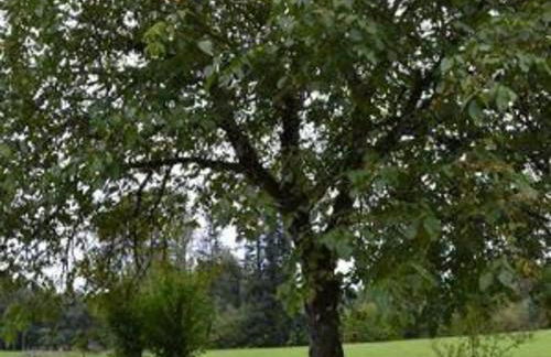 Gîte de charme dans les Vosges Saônoises - FR-1-583-412 - Foto 32