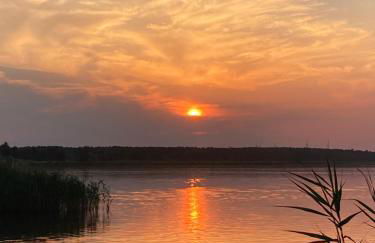 Tiny House am See - Foto 8