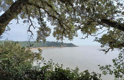 AGREABLE REZ DE JARDIN AVEC TERRASSE PROCHE PLAGE - Foto 32