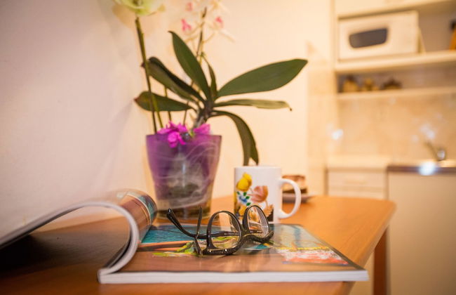 Studio Apartment Andrijana - Foto 53