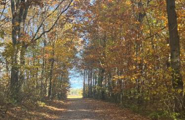 Radawa LOVE - Foto 28