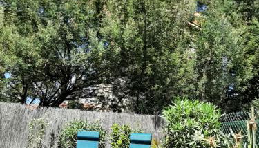 Le Méditerranéo - Foto 3, Garden