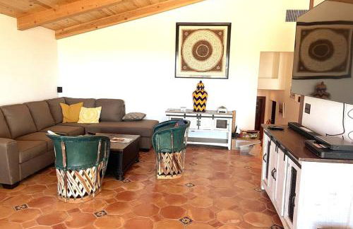 Hilltop Vineyard and Agave Field with View - Photo 13