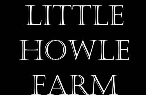 Little Howle Farm Barn - Foto 26