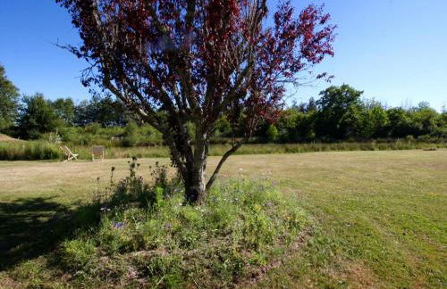 Gîte rustique à Cheverny: nature, tennis, animaux bienvenus, pêche et châteaux de la Loire à proximité - FR-1-491-366 - Foto 10