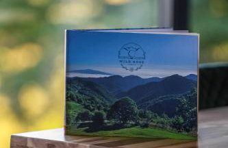 Wild Rose Samobor - Foto 9