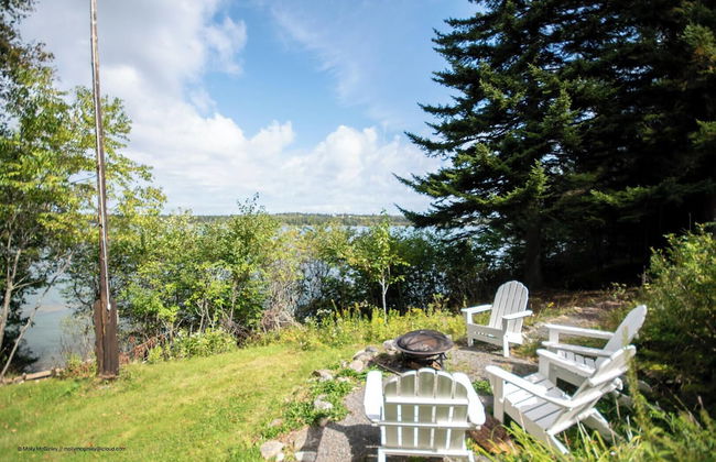 Puffin Rock - New 2022! - Photo 27