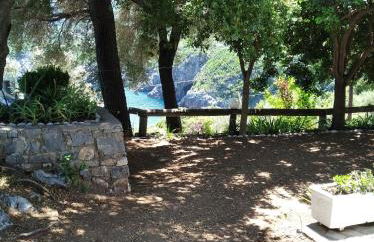 Dialiskari #3 - Foto 11